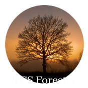 LOGO-t